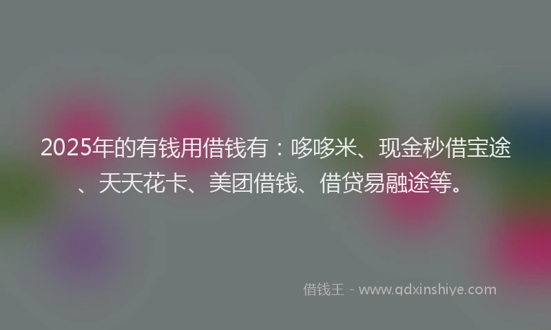 2025年的有钱用借钱有：哆哆米、现金秒借宝途、天天花卡、美团借钱、借贷易融途等。