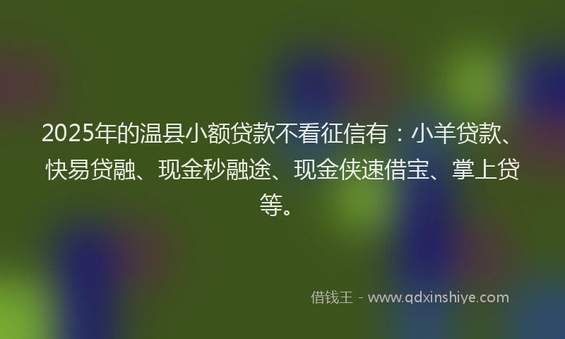 2025年的温县小额贷款不看征信有：小羊贷款、快易贷融、现金秒融途、现金侠速借宝、掌上贷等。