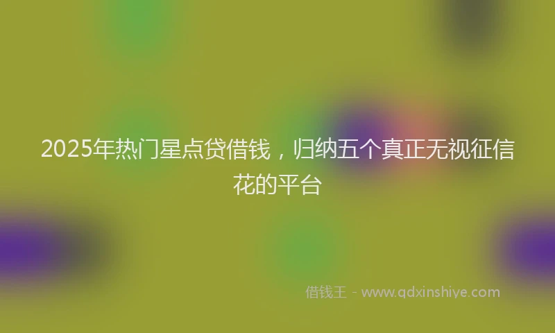 2025年热门星点贷借钱，归纳五个真正无视征信花的平台