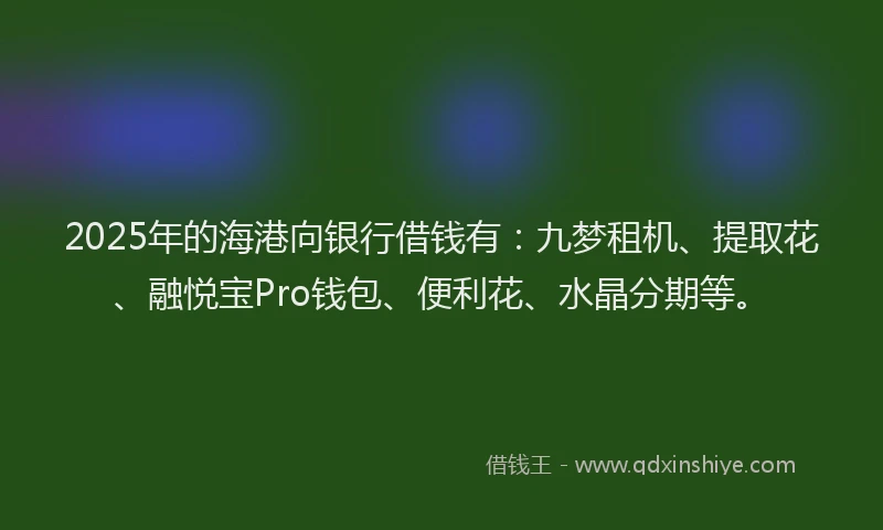2025年的海港向银行借钱有：九梦租机、提取花、融悦宝Pro钱包、便利花、水晶分期等。