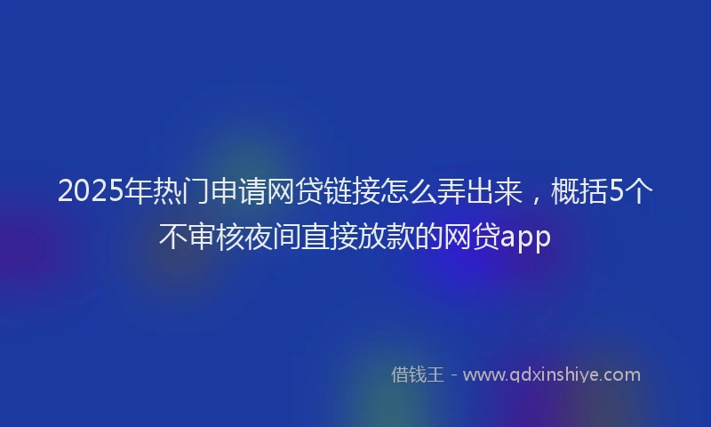 2025年热门申请网贷链接怎么弄出来，概括5个不审核夜间直接放款的网贷app