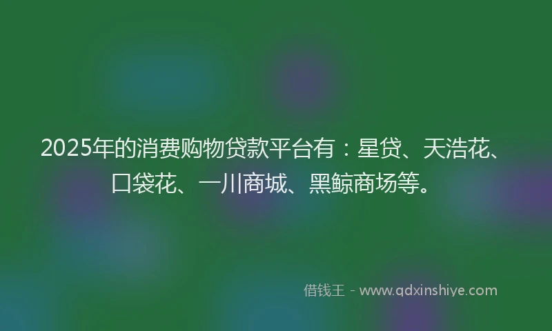 2025年的消费购物贷款平台有：星贷、天浩花、口袋花、一川商城、黑鲸商场等。