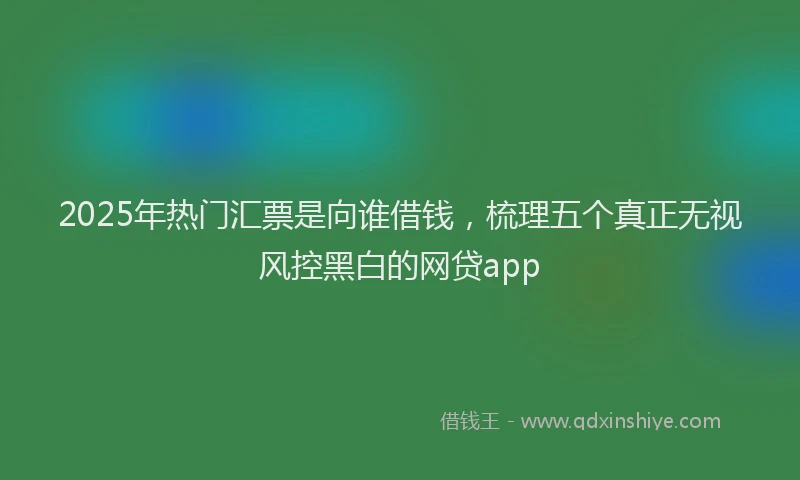 2025年热门汇票是向谁借钱，梳理五个真正无视风控黑白的网贷app