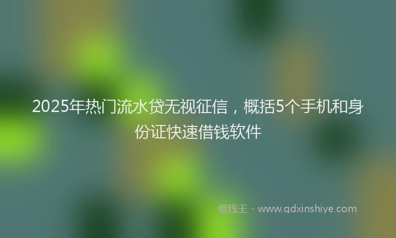 2025年热门流水贷无视征信，概括5个手机和身份证快速借钱软件