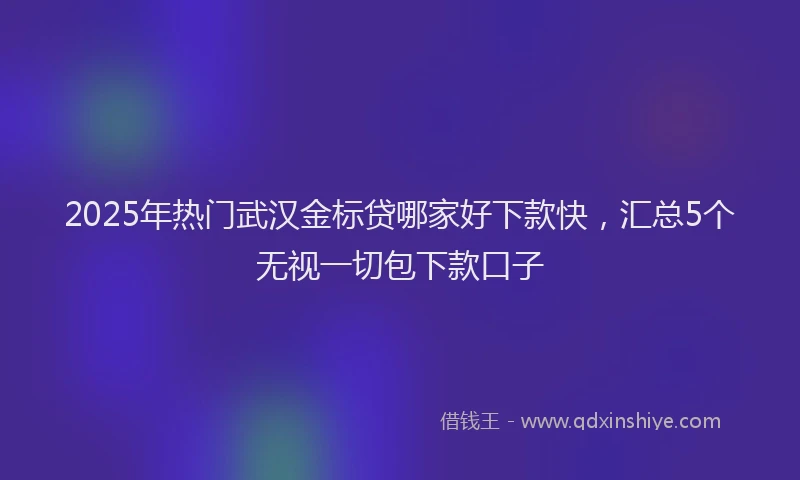 2025年热门武汉金标贷哪家好下款快，汇总5个无视一切包下款口子