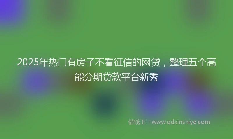 2025年热门有房子不看征信的网贷，整理五个高能分期贷款平台新秀