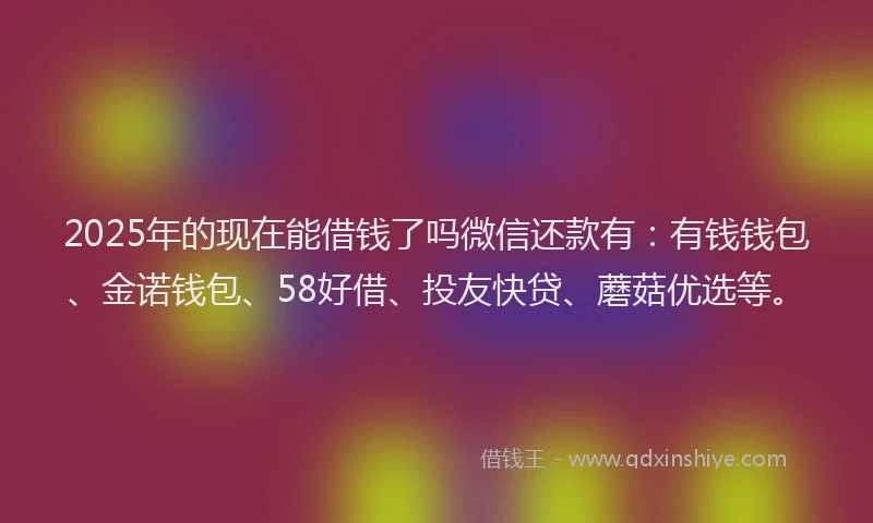 2025年的现在能借钱了吗微信还款有：有钱钱包、金诺钱包、58好借、投友快贷、蘑菇优选等。