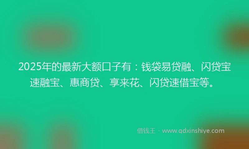 2025年的最新大额口子有：钱袋易贷融、闪贷宝速融宝、惠商贷、享来花、闪贷速借宝等。