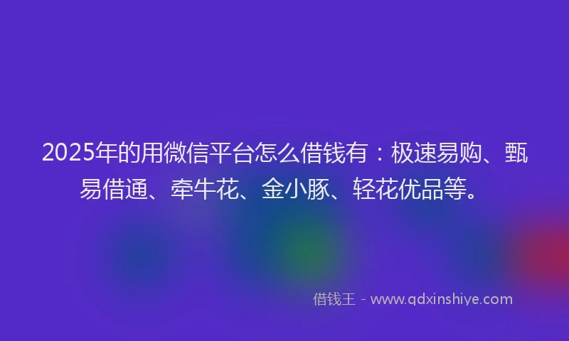 2025年的用微信平台怎么借钱有：极速易购、甄易借通、牵牛花、金小豚、轻花优品等。