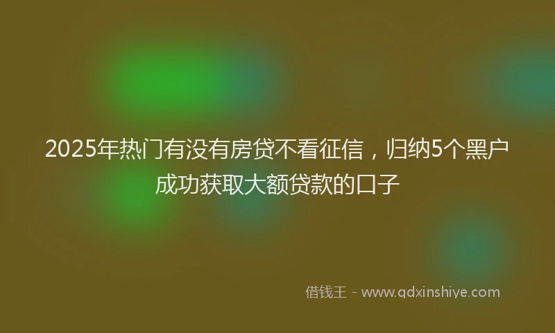 2025年热门有没有房贷不看征信，归纳5个黑户成功获取大额贷款的口子