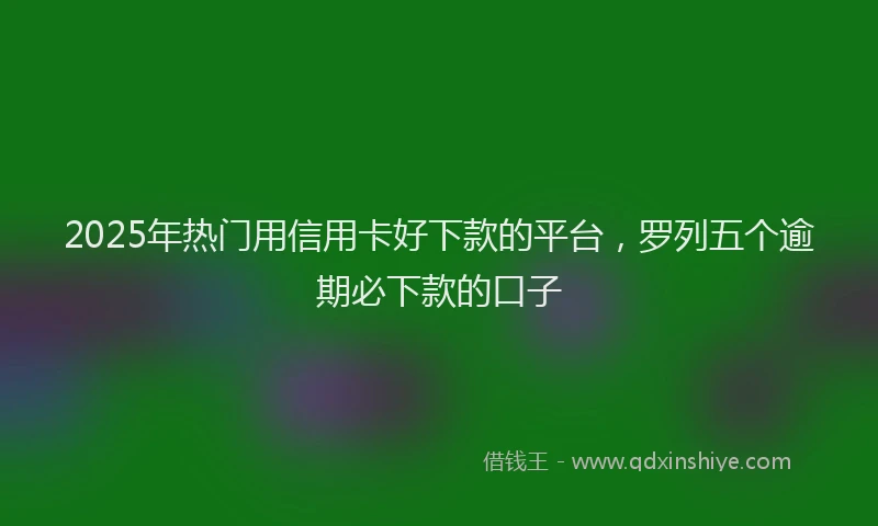 2025年热门用信用卡好下款的平台，罗列五个逾期必下款的口子