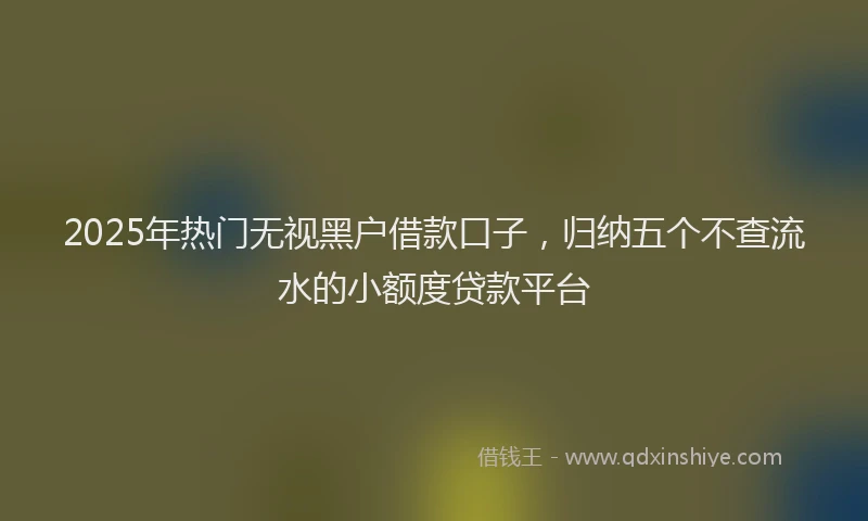 2025年热门无视黑户借款口子，归纳五个不查流水的小额度贷款平台