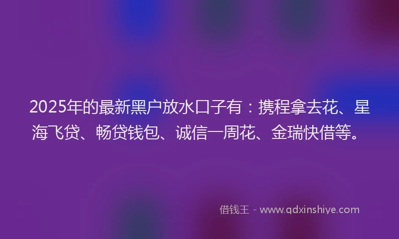 2025年的最新黑户放水口子有：携程拿去花、星海飞贷、畅贷钱包、诚信一周花、金瑞快借等。