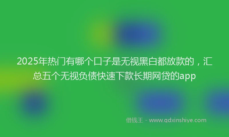 2025年热门有哪个口子是无视黑白都放款的，汇总五个无视负债快速下款长期网贷的app