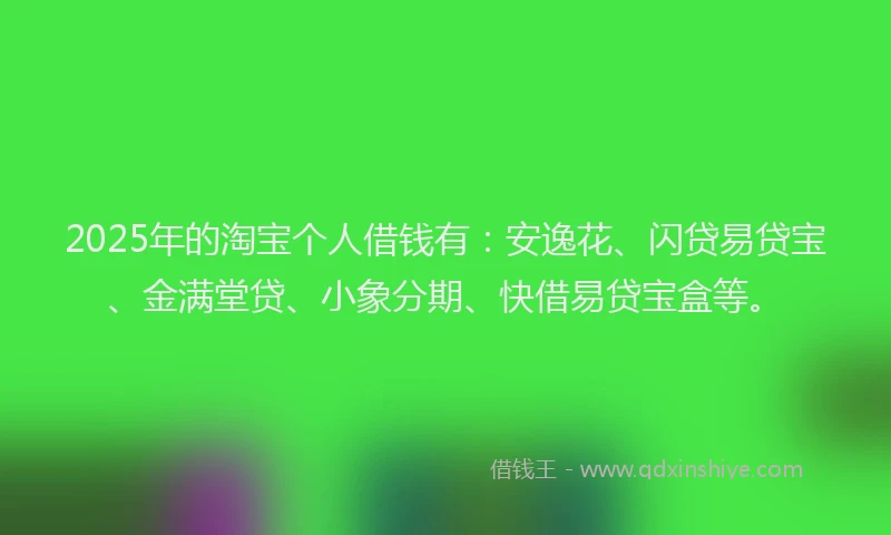 2025年的淘宝个人借钱有：安逸花、闪贷易贷宝、金满堂贷、小象分期、快借易贷宝盒等。