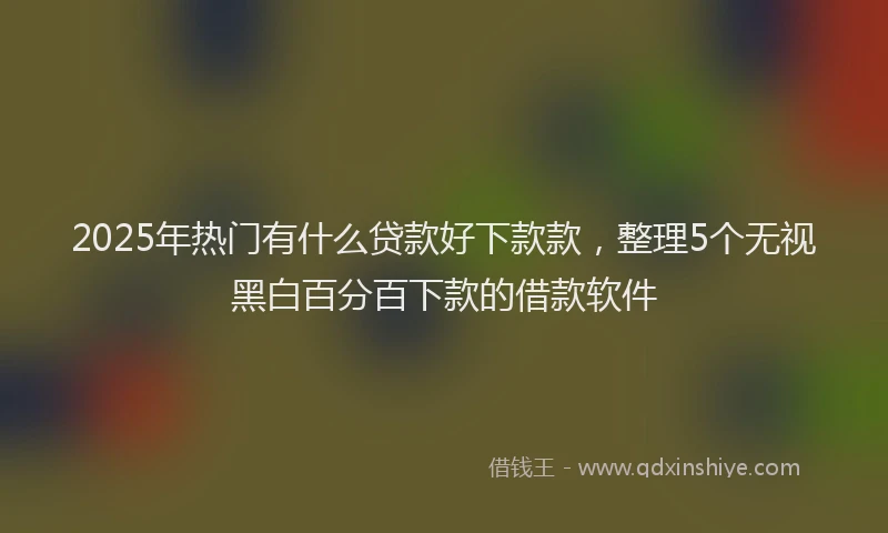 2025年热门有什么贷款好下款款，整理5个无视黑白百分百下款的借款软件