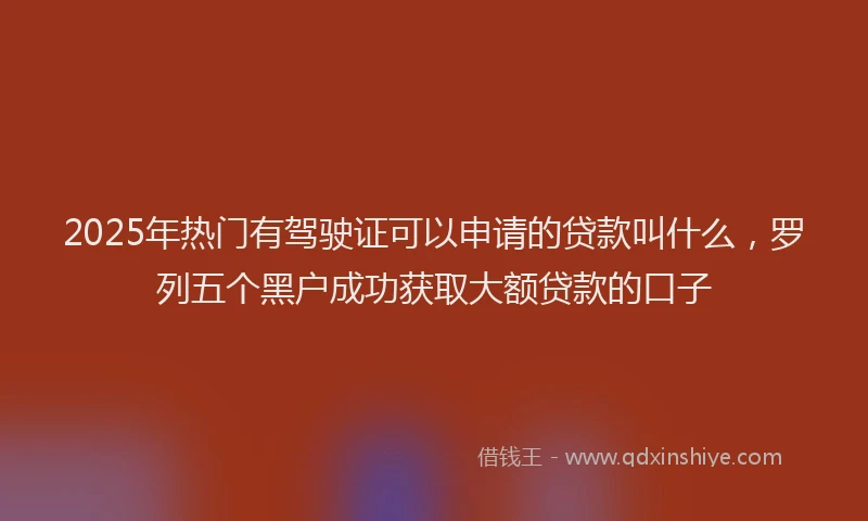 2025年热门有驾驶证可以申请的贷款叫什么，罗列五个黑户成功获取大额贷款的口子