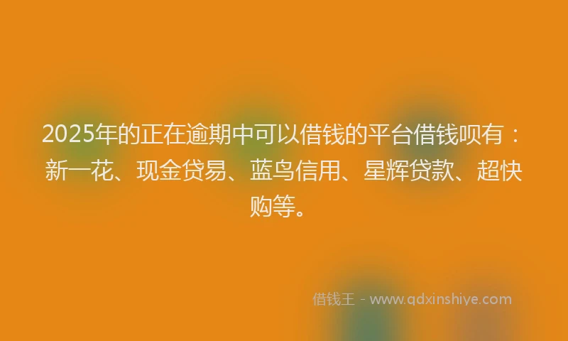 2025年的正在逾期中可以借钱的平台借钱呗有：新一花、现金贷易、蓝鸟信用、星辉贷款、超快购等。