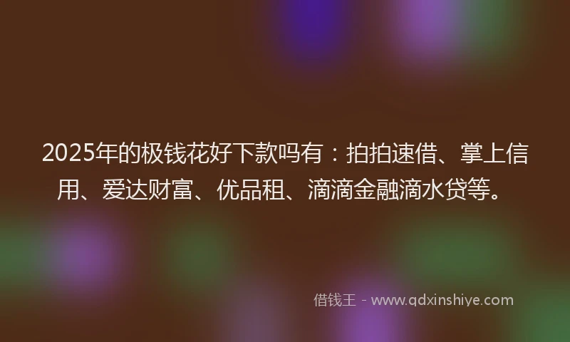 2025年的极钱花好下款吗有：拍拍速借、掌上信用、爱达财富、优品租、滴滴金融滴水贷等。