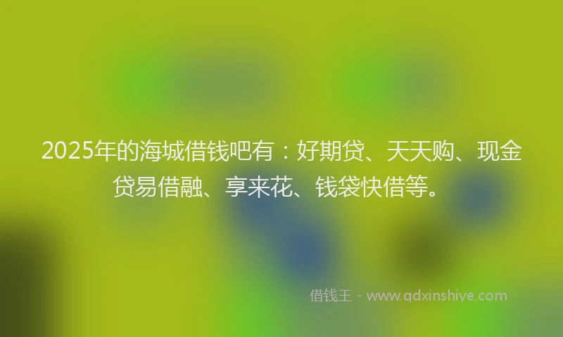 2025年的海城借钱吧有：好期贷、天天购、现金贷易借融、享来花、钱袋快借等。