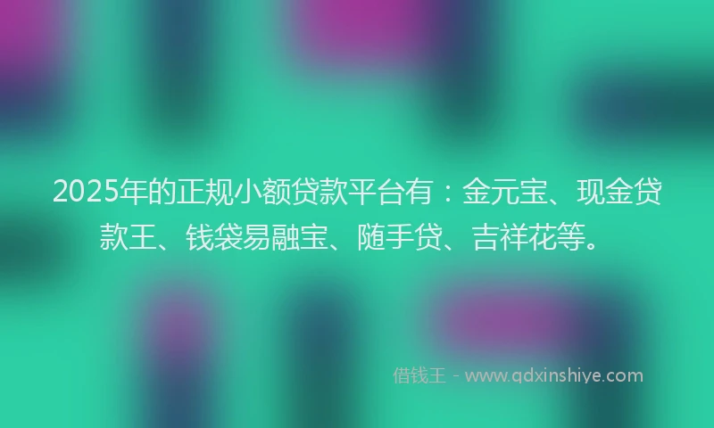 2025年的正规小额贷款平台有：金元宝、现金贷款王、钱袋易融宝、随手贷、吉祥花等。