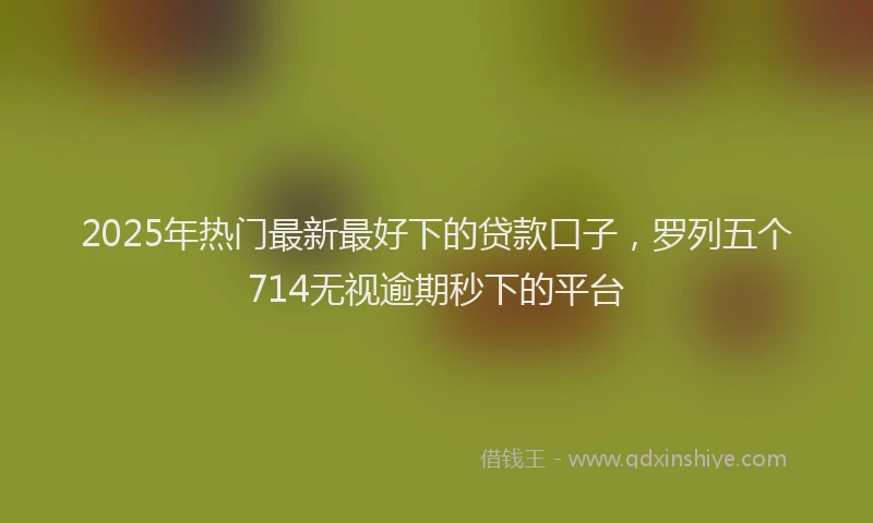 2025年热门最新最好下的贷款口子，罗列五个714无视逾期秒下的平台
