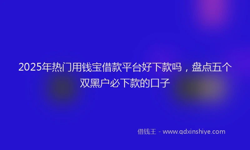 2025年热门用钱宝借款平台好下款吗，盘点五个双黑户必下款的口子