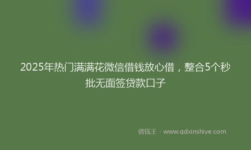 2025年热门满满花微信借钱放心借，整合5个秒批无面签贷款口子