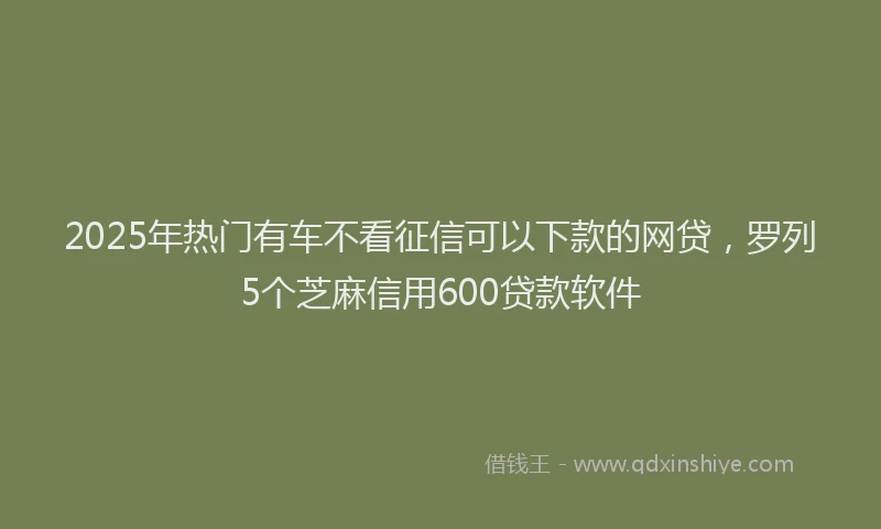 2025年热门有车不看征信可以下款的网贷，罗列5个芝麻信用600贷款软件