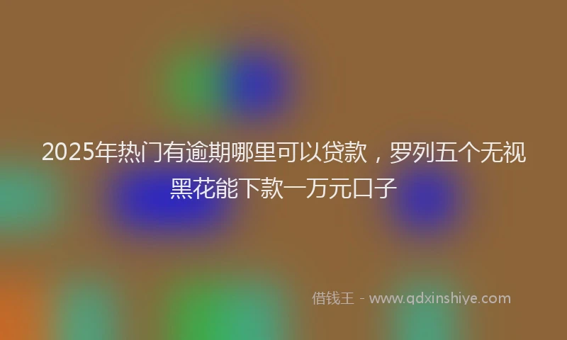 2025年热门有逾期哪里可以贷款，罗列五个无视黑花能下款一万元口子