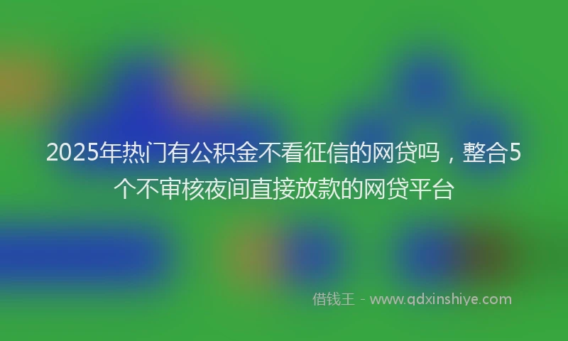 2025年热门有公积金不看征信的网贷吗，整合5个不审核夜间直接放款的网贷平台