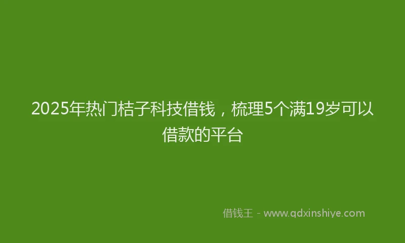 2025年热门桔子科技借钱，梳理5个满19岁可以借款的平台