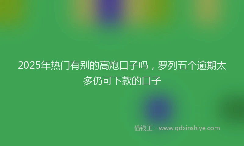 2025年热门有别的高炮口子吗，罗列五个逾期太多仍可下款的口子