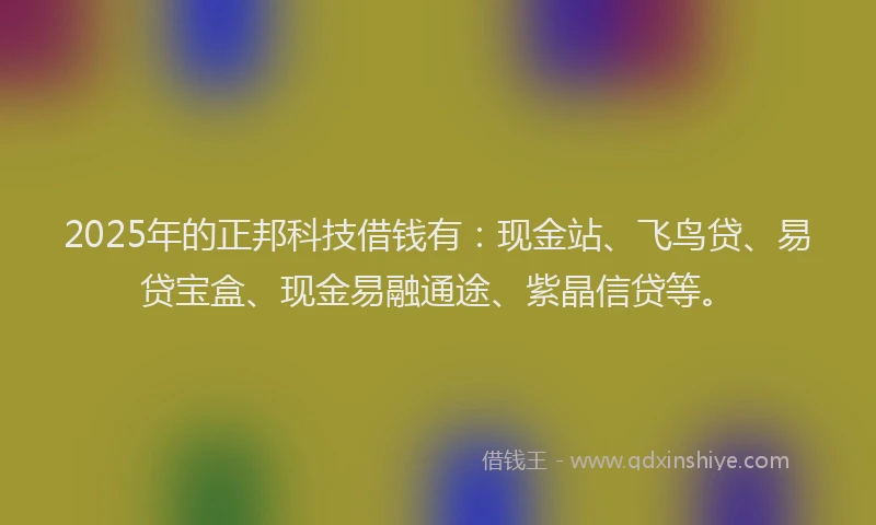 2025年的正邦科技借钱有：现金站、飞鸟贷、易贷宝盒、现金易融通途、紫晶信贷等。