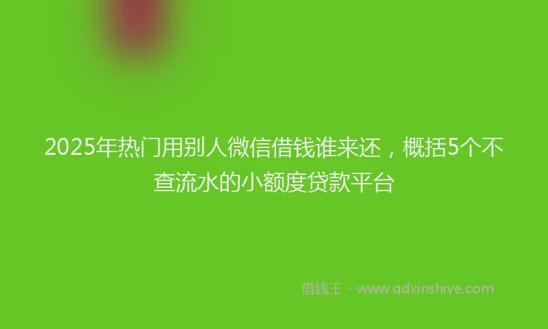 2025年热门用别人微信借钱谁来还，概括5个不查流水的小额度贷款平台