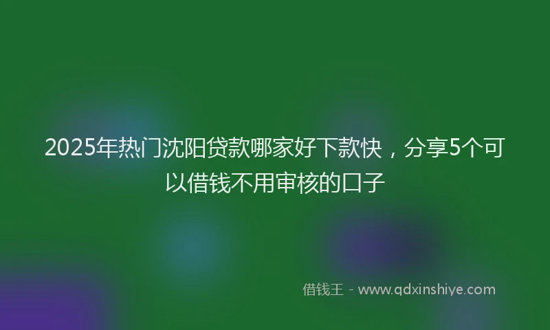 2025年热门沈阳贷款哪家好下款快，分享5个可以借钱不用审核的口子