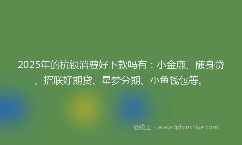 2025年的杭银消费好下款吗有：小金鹿、随身贷、招联好期贷、星梦分期、小鱼钱包等。