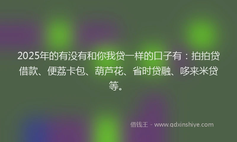 2025年的有没有和你我贷一样的口子有：拍拍贷借款、便荔卡包、葫芦花、省时贷融、哆来米贷等。