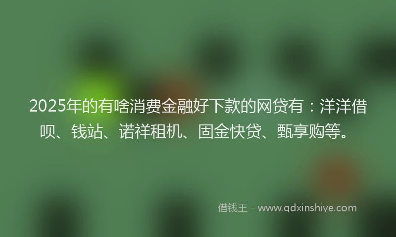 2025年的有啥消费金融好下款的网贷有：洋洋借呗、钱站、诺祥租机、固金快贷、甄享购等。