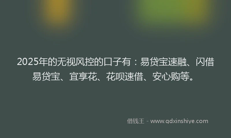 2025年的无视风控的口子有：易贷宝速融、闪借易贷宝、宜享花、花呗速借、安心购等。