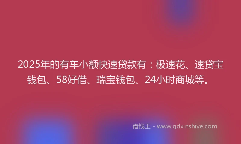 2025年的有车小额快速贷款有：极速花、速贷宝钱包、58好借、瑞宝钱包、24小时商城等。