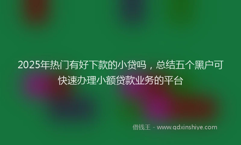 2025年热门有好下款的小贷吗，总结五个黑户可快速办理小额贷款业务的平台