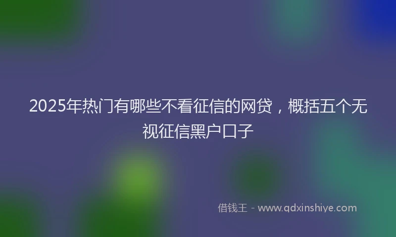 2025年热门有哪些不看征信的网贷，概括五个无视征信黑户口子