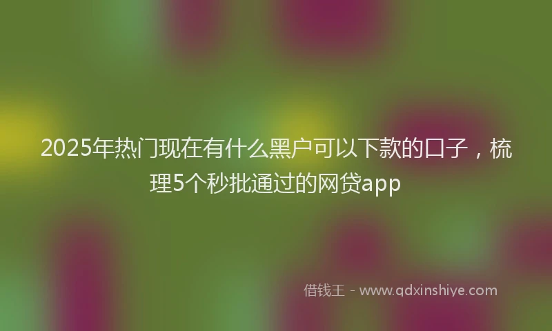 2025年热门现在有什么黑户可以下款的口子，梳理5个秒批通过的网贷app