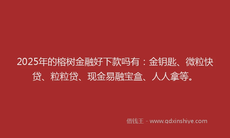 2025年的榕树金融好下款吗有：金钥匙、微粒快贷、粒粒贷、现金易融宝盒、人人拿等。
