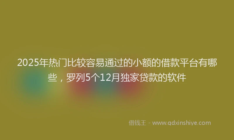 2025年热门比较容易通过的小额的借款平台有哪些，罗列5个12月独家贷款的软件