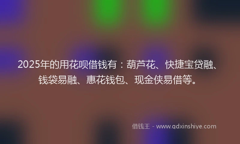 2025年的用花呗借钱有：葫芦花、快捷宝贷融、钱袋易融、惠花钱包、现金侠易借等。