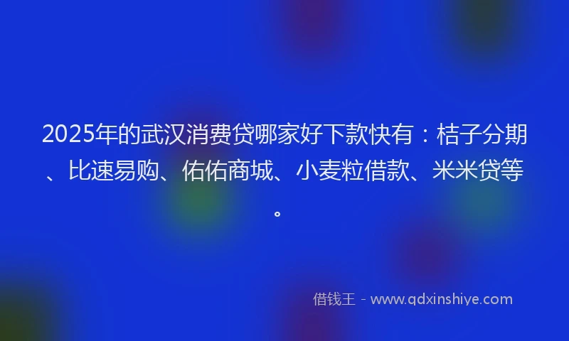 2025年的武汉消费贷哪家好下款快有：桔子分期、比速易购、佑佑商城、小麦粒借款、米米贷等。