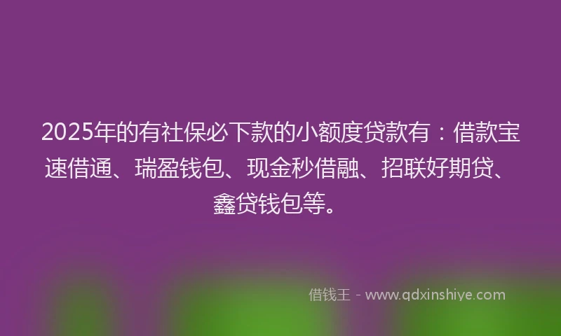 2025年的有社保必下款的小额度贷款有：借款宝速借通、瑞盈钱包、现金秒借融、招联好期贷、鑫贷钱包等。