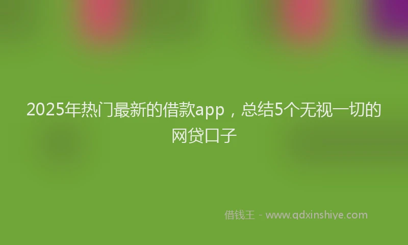 2025年热门最新的借款app，总结5个无视一切的网贷口子